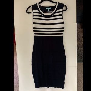 NAT Modcloth knit body con dress